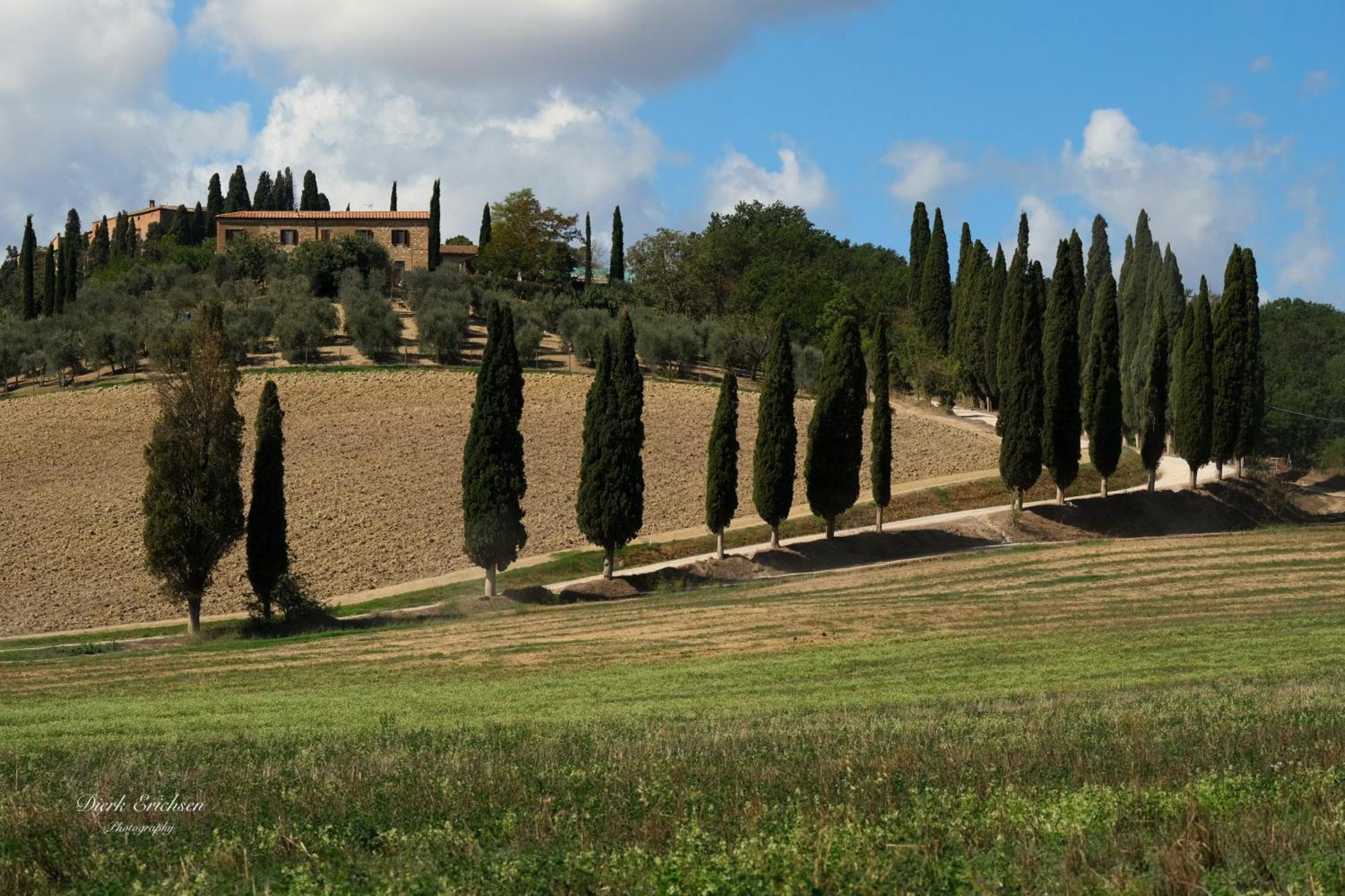 Agriturismo Biofattoria L'Upupa Montalcino Exterior photo
