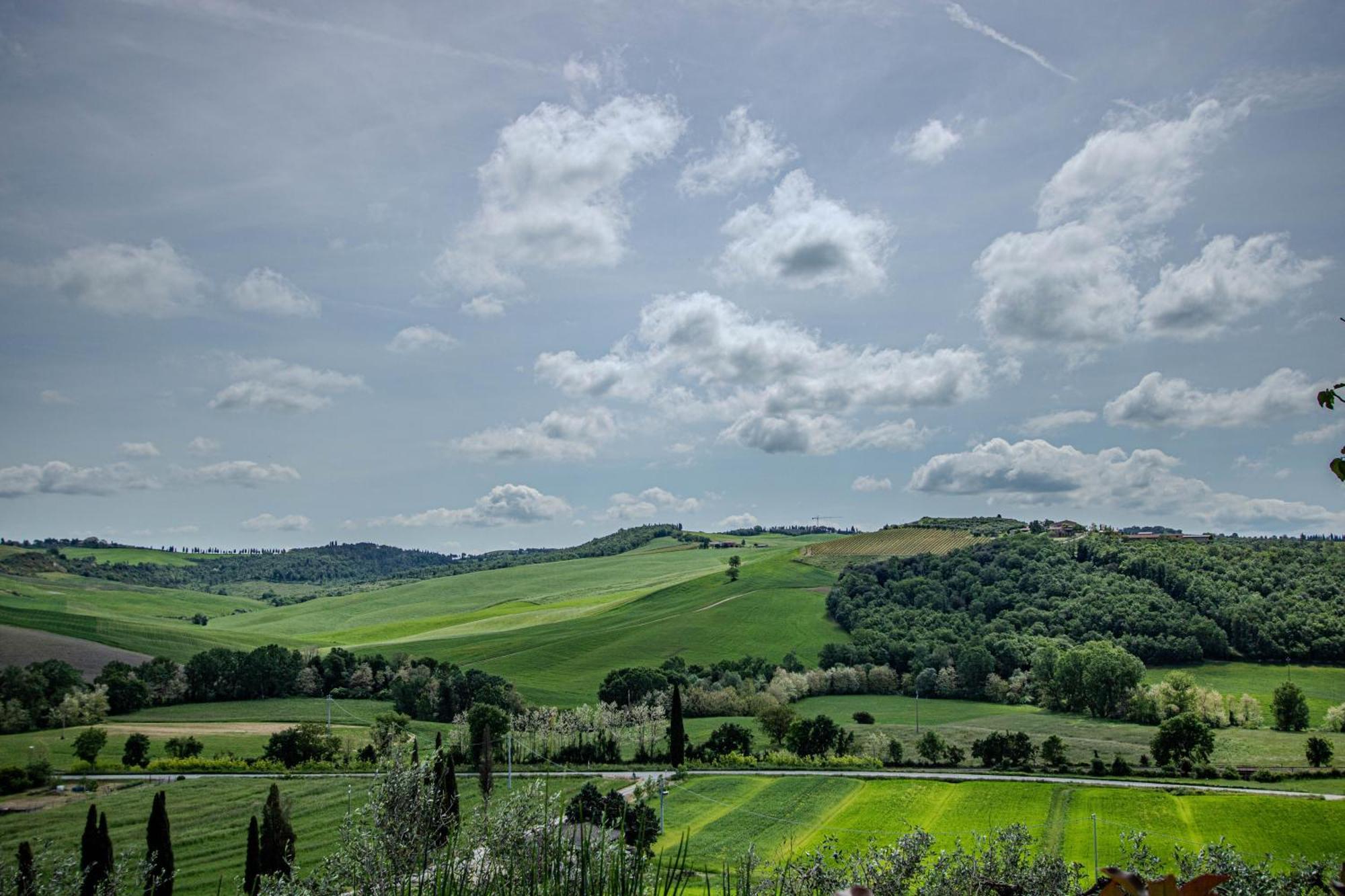Agriturismo Biofattoria L'Upupa Montalcino Exterior photo