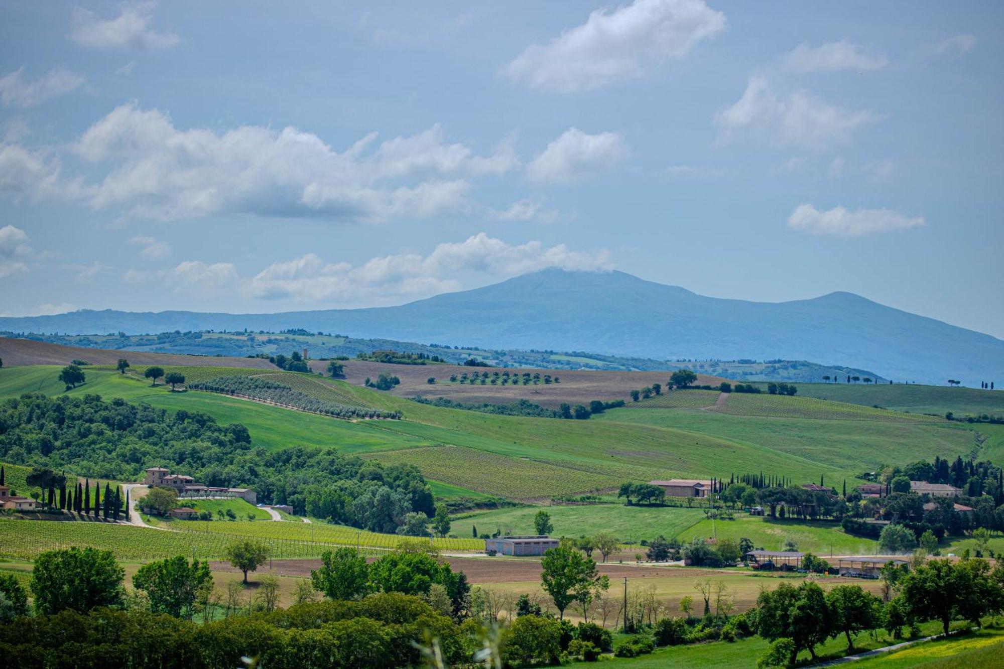 Agriturismo Biofattoria L'Upupa Montalcino Exterior photo