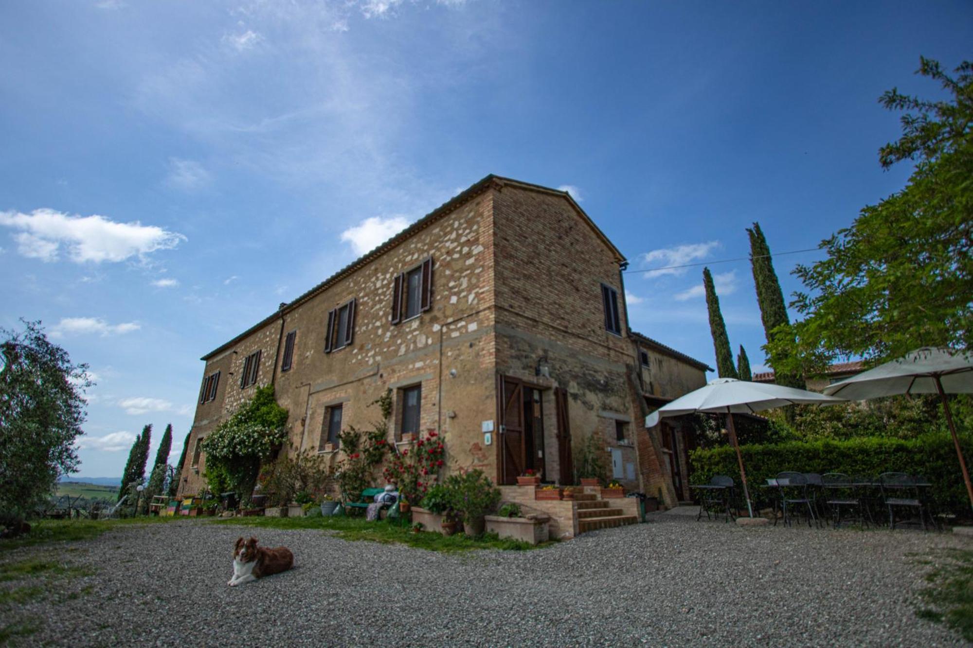 Agriturismo Biofattoria L'Upupa Montalcino Exterior photo